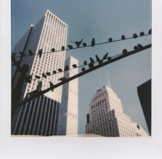 Новостройки с отделкой в Ростове-на-Дону: готовые квартиры